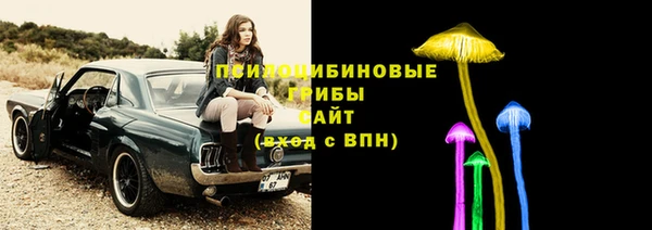 мяу мяу мука Сатка