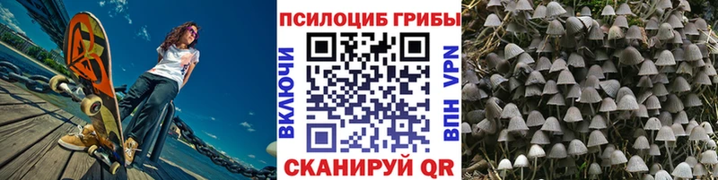 продажа наркотиков Ворсма Псилоцибиновые грибы MAGIC MUSHROOMS
